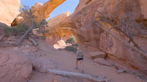 Joven Excursionista Rubia Doble Arches Parque Nacional Arches Utah Media — Vídeo de stock