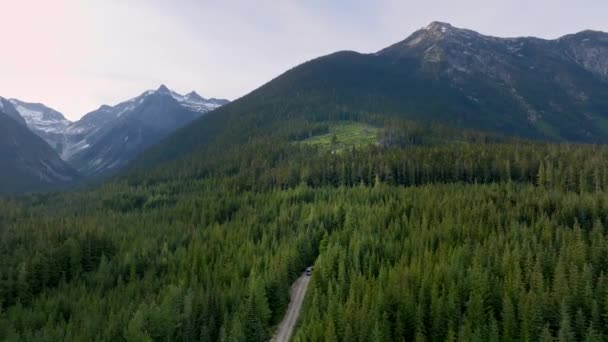 鬱蒼とした森と高くそびえる山々を持つアスファルト道路を運転高速道路で99 ペンバートン Bcカナダ 空中ワイドショット — ストック動画