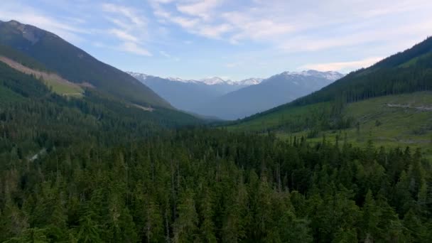 Evergreen Trees Mountains Κατά Μήκος Της Εθνικής Οδού Στο Πέμπερτον — Αρχείο Βίντεο