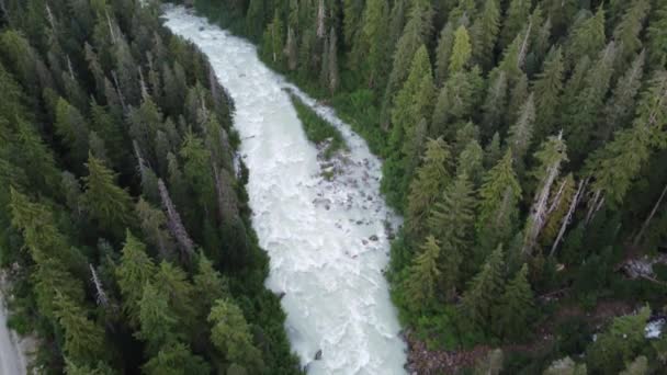 Drone Aéreo Incrível White Water Soo River Com Pinheiros Cordilheira — Vídeo de Stock