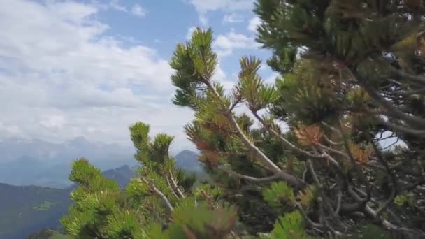 Beautiful Aerial View Vercors Massif Alpine Mountain Range Summer Day — стокове відео