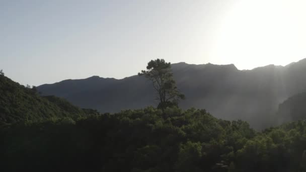 Foto Udara Pemandangan Caminho Pinaculo Foldhadal Madeira Pagi Hari Dengan — Stok Video