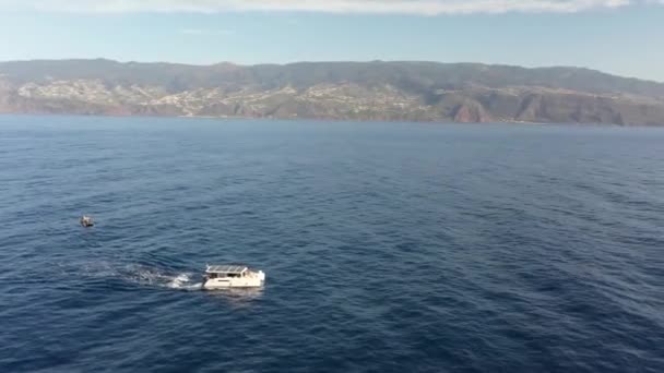 Strzał Drona Białego Katamaranu Panelami Słonecznymi Odjeżdżającymi Mniejszej Łodzi Maderze — Wideo stockowe