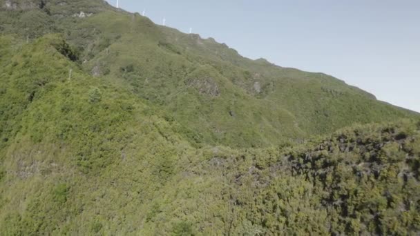 Drone Shot Van Het Landschap Bij Caminho Pinaculo Foldhadal Madeira — Stockvideo