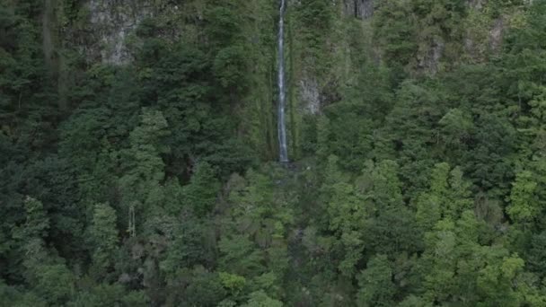 Foto Udara Air Terjun Foldhadal Madeira — Stok Video