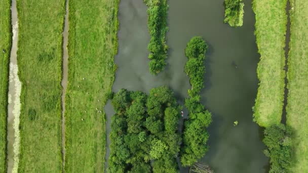 Hollanda Nın Krimpenerwaard Bölgesindeki Ağaçların Altından Yükselen Küçük Beyaz Bir — Stok video