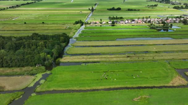 Lindo Tiro Orbitando Aérea Terra Polder Com Muitos Slagenlandschap Pequeno — Vídeo de Stock