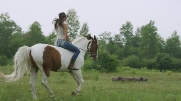 Pewna Siebie Samica Jeźdźca Koniu Bez Siodełka Przez Pole Powolny — Wideo stockowe