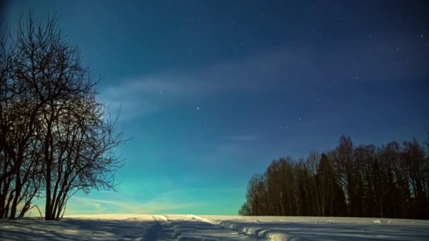 Lebendige Gelbe Und Grüne Nordlichter Aurora Borealis Sternenhimmel Über Der — Stockvideo