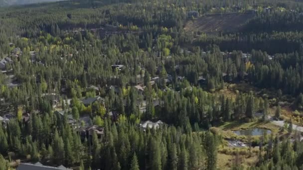 Vista Aérea Com Vista Para Casas Meio Árvores Aldeia Breckenridge — Vídeo de Stock