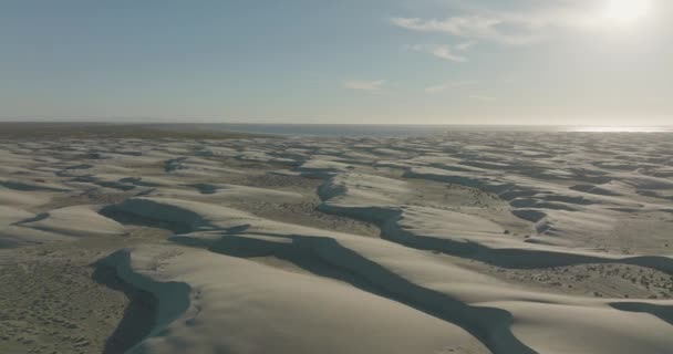 カリフォルニア スール ショアラインの美しい砂丘風景 空のコピースペースを持つ空中飛行 — ストック動画