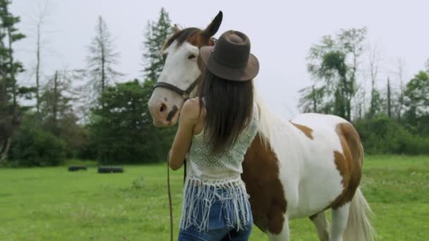 Eğitimli Kadın Binici Erkek Pinto Atıyla Bağ Kuruyor Yelesini Dalgalandırıyor — Stok video