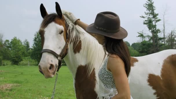 Jovem Cowgirl Treinada Prepara Levemente Crina Cavalo Tiro Médio Órbita — Vídeo de Stock