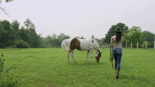 Junges Erwachsenes Cowgirl Nähert Sich Einem Ruhigen Pinto Pferd Auf — Stockvideo