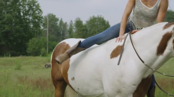 Cowgirl Monterar Sin Vuxna Pinto Häst Ett Fält Långsam Rörelse — Stockvideo