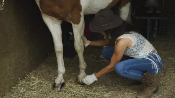 훈련받은 카우보이는 말에게 바니시를 미디엄 슬로우 모션으로 궤도에 — 비디오
