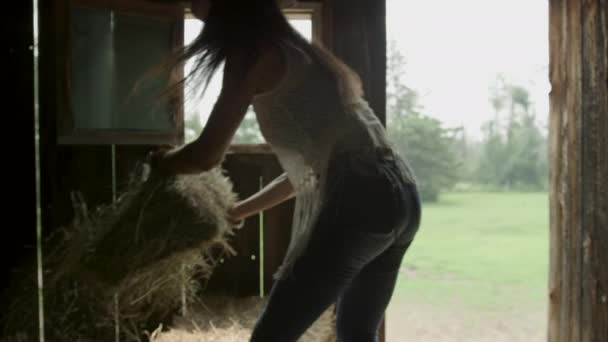 Elegante Joven Vaquera Granero Arroja Paja Caballo Cámara Lenta Dolly — Vídeo de stock