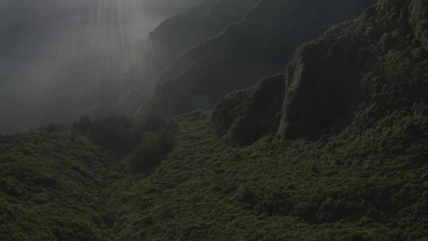 Drone Cinematográfico Disparado Sobre Isla Madeira Con Niebla Amanecer — Vídeos de Stock