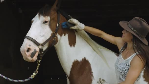 Zelfverzekerde Jonge Ruiter Verzorgt Haar Pinto Paard Met Een Borstel — Stockvideo