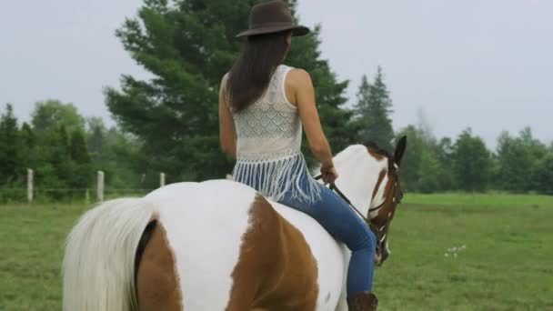 Pewna Siebie Samica Jeźdźca Koniu Bez Siodełka Przez Pole Średniej — Wideo stockowe