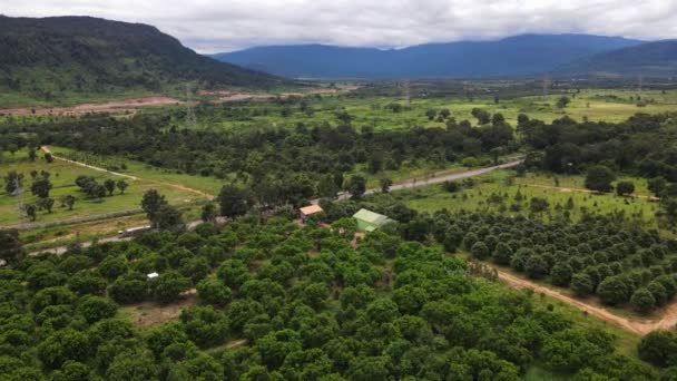 Zdjęcia Dronów Nad Polem Mango Południu Kambodży Otoczone Górami Tle — Wideo stockowe