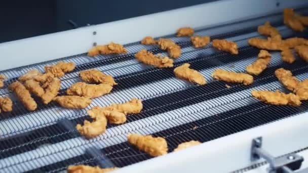 Producción Tiras Pollo Nuggets Filetes Empanado Fábrica Industria Avícola Línea — Vídeos de Stock