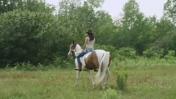 Jovem Cowgirl Treinada Monta Seu Cavalo Adulto Através Campo Gramado — Vídeo de Stock