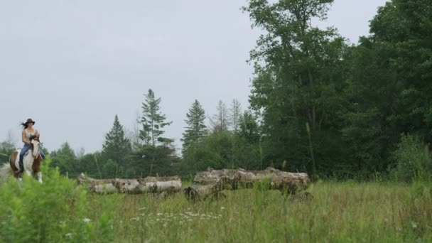 Ausgebildete Junge Reiterin Reitet Ihr Pferd Durch Übungshürden Einem Feld — Stockvideo