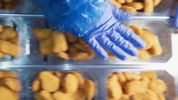 Chicken Nuggets Production Line Factory Production Food Meat — Stock Video