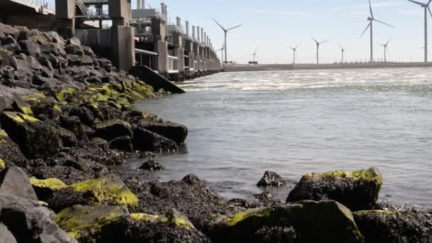 Primo Piano Della Riva Del Mare Del Nord Con Forte — Video Stock