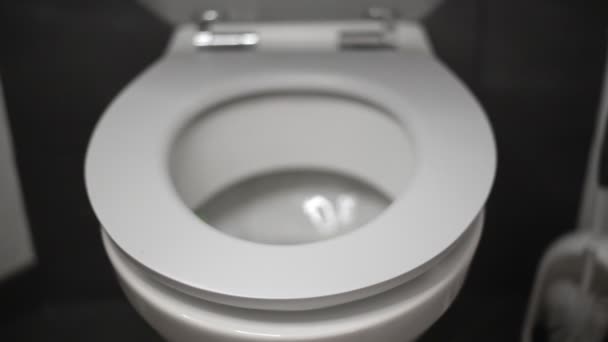 Doux Siège Toilette Fermé Fermant Devant Mur Gris Brosse Toilette — Video