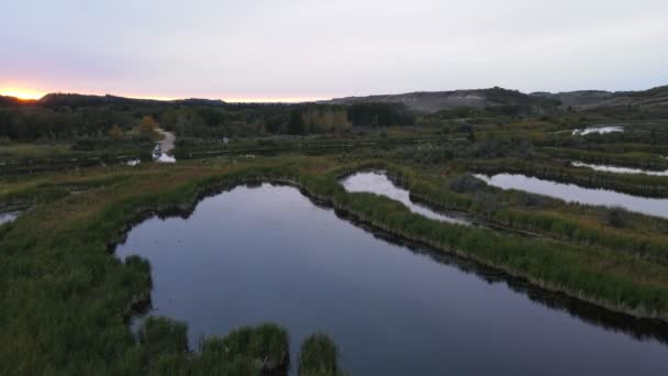 Diversi Bacini Lungo Fiume Battaglia Che Costruiscono Habitat Castori Diversi — Video Stock