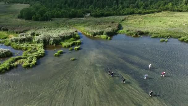 Imágenes Drones Grupo Excursionistas Que Comienzan Caminata Desde Islote Kinastu — Vídeos de Stock