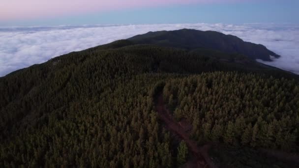 Este Lila Rózsaszín Tenerife Hegyek Erdők Felett Drone Felvételek Tenerife — Stock videók