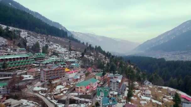 Revealing Trees Drone Shot Icy Mountains Himachal Pradesh India — Stock Video