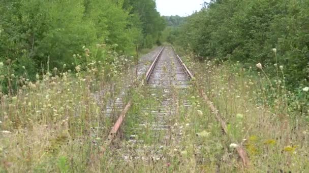 Natura Sta Sorpassando Suo Trono Una Ferrovia Abbandonata Circondata Alberi — Video Stock