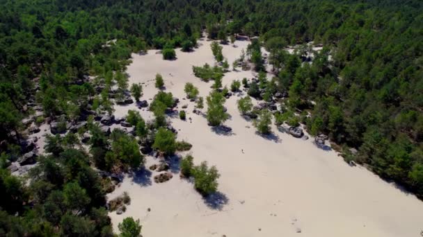 Fantastisk Flygutsikt Över Fontainebleau Öknen Drönarbilder Skogen — Stockvideo