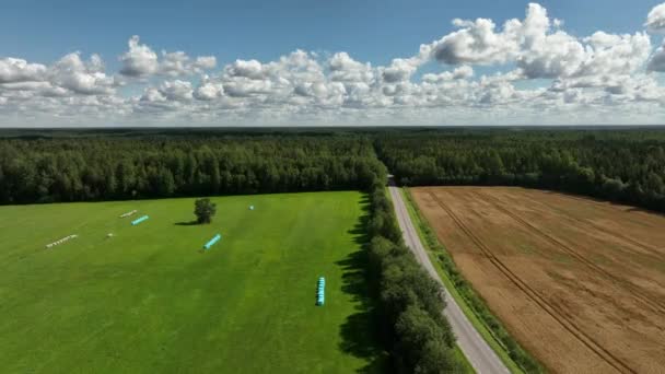 Veduta Aerea Del Paesaggio Agricolo Estone Con Rotoli Fieno Avvolti — Video Stock