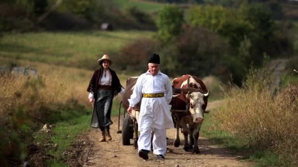 Los Campesinos Rumanos Van Carreta Bueyes — Vídeos de Stock