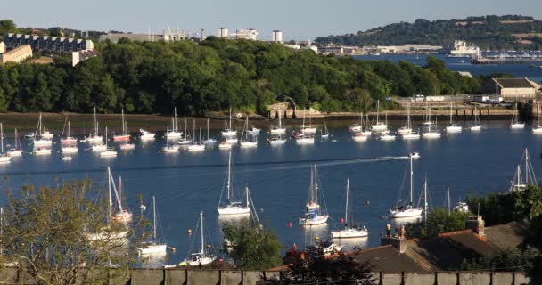 Pequeno Barco Viaja Pelo Rio Tamar Entre Devon Cornwall Com — Vídeo de Stock