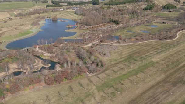 Mayfield Park Oberon New South Wales Avustralya Nın Yetiştirilmiş Çocuk — Stok video