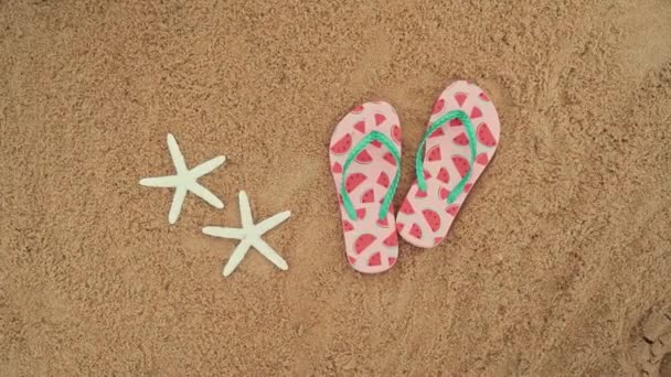 Top Shot Pair Flip Flops Sea Stars Beach Travel Vacation — Stock Video