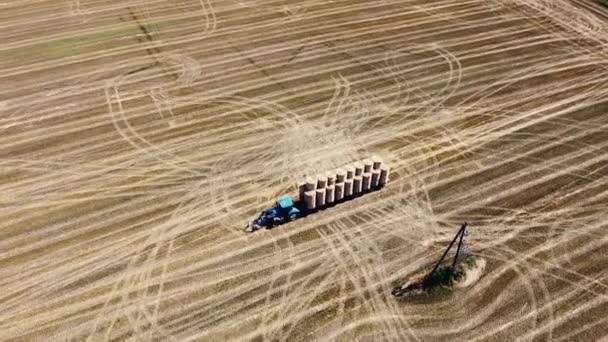 Arial Drone Menembak Pertanian Menanam Tanah Petani Mengumpulkan Hasilnya Traktor — Stok Video