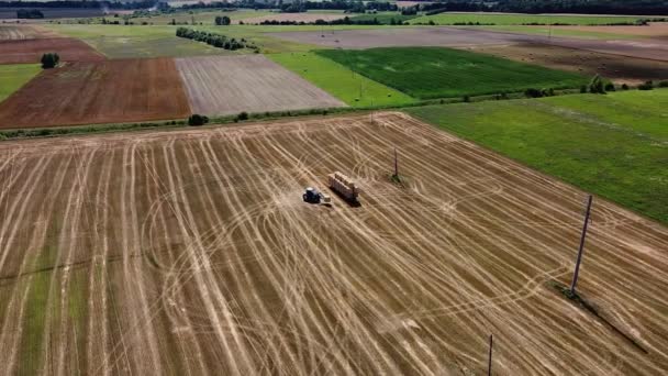 Arialny Strzał Drona Rolnika Zbierającego Bułki Siana Pola Europa — Wideo stockowe