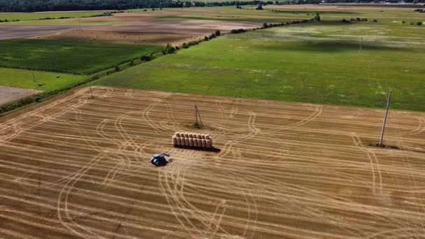 Ujęcie Ariala Dronem Farmera Pracującego Polach Traktorem Zbieram Siana Rollsa — Wideo stockowe