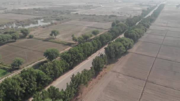 在巴基斯坦信德省Khairpur的一个美丽的绿地里 巴基斯坦公路的无人机画面显示 在这条长着树木的路上很少有汽车 — 图库视频影像