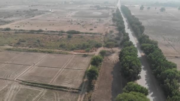 无人机捕捉到了在巴基斯坦公路靠近Khairpur Sindh的树林中行驶的汽车的顶部镜头 — 图库视频影像