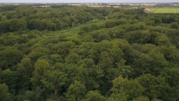 Panorámica Aérea Tierra Densamente Forestal Cerca Del Campo Aerial Drone — Vídeo de stock