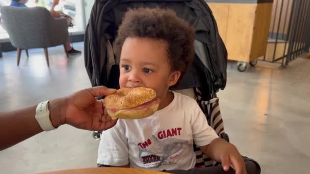 Adorável Expressivo Afro Europeu Criança Dois Anos Degustando Delicioso Bagel — Vídeo de Stock