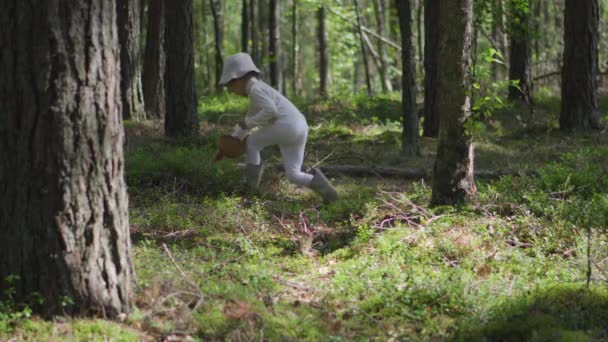 Young Female Child Picking Blueberries Forest Summer White Closes — Stock Video